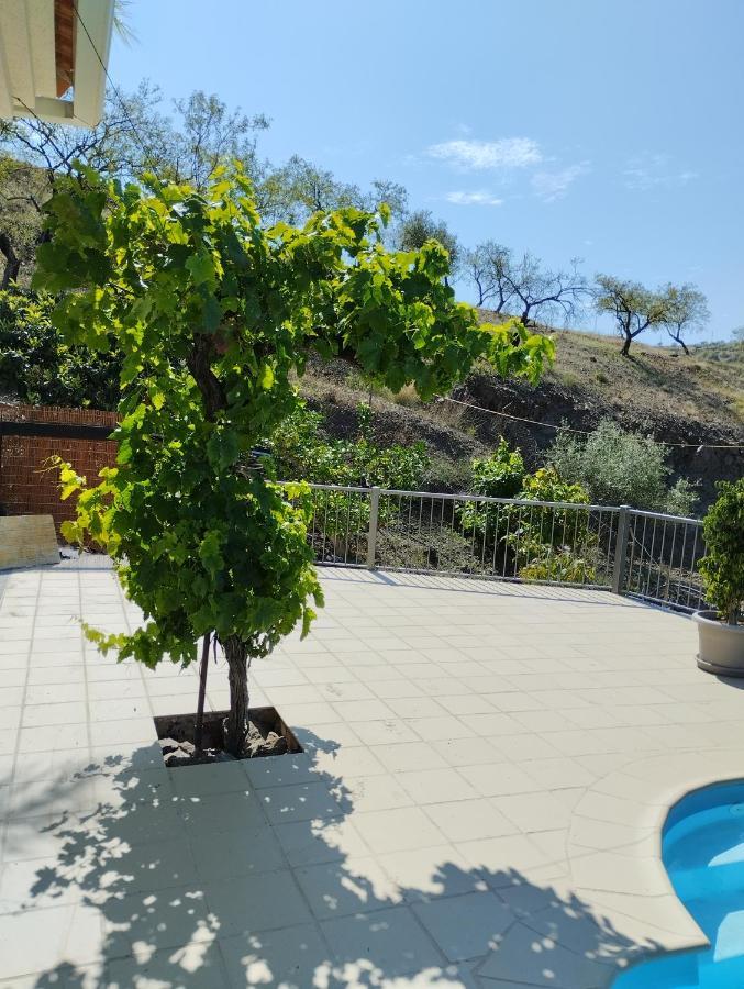 Villa Las Vinas Малага Екстер'єр фото